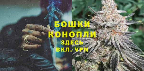 МДПВ Вяземский