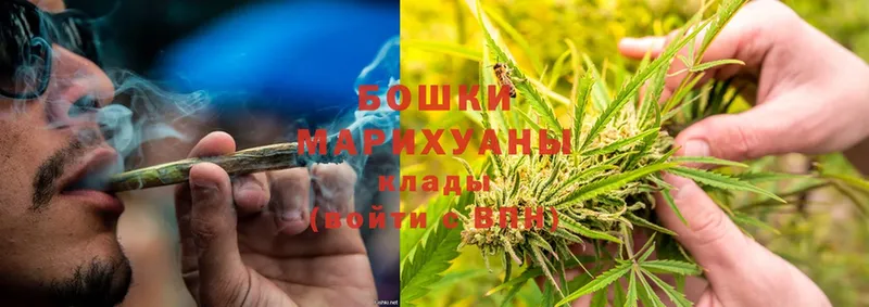 сколько стоит  Питкяранта  Бошки марихуана семена 